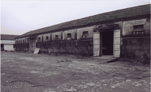 1483523640421462dYLg.png 未標題-17.png